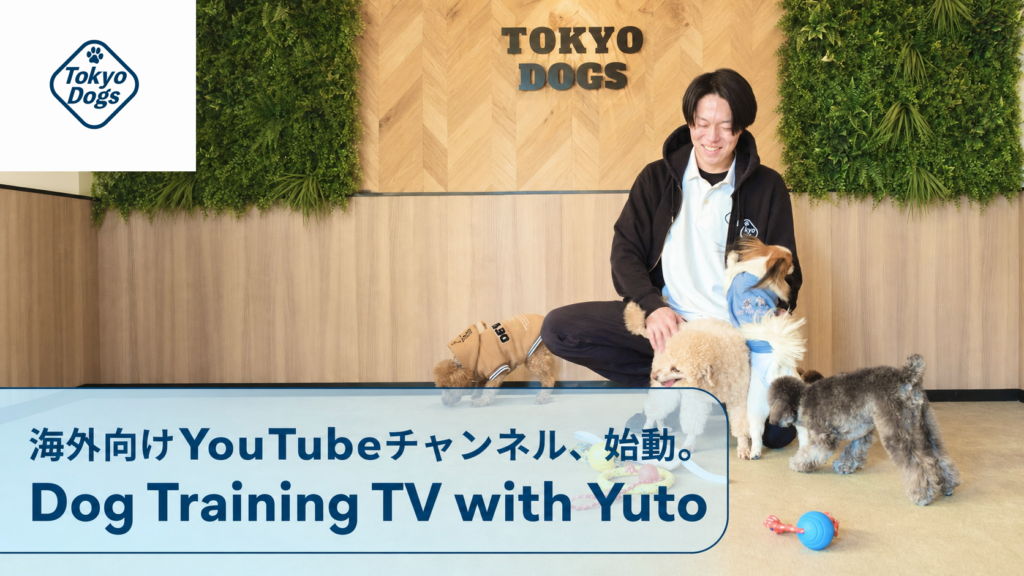 海外向けYouTubeチャンネル「Dog Training TV with Yuto」